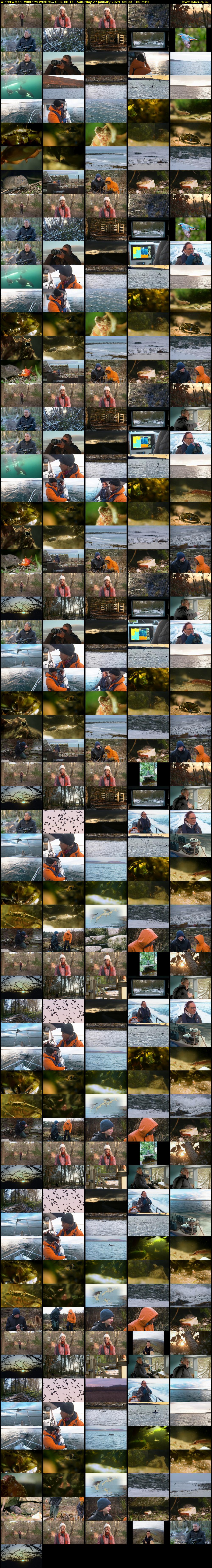 Winterwatch: Winter's Wildlife... (BBC RB 1) Saturday 27 January 2024 06:00 - 09:00