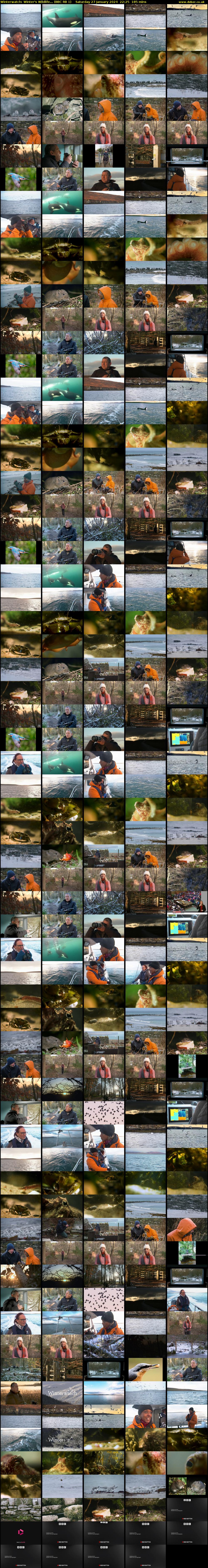 Winterwatch: Winter's Wildlife... (BBC RB 1) Saturday 27 January 2024 22:25 - 01:30
