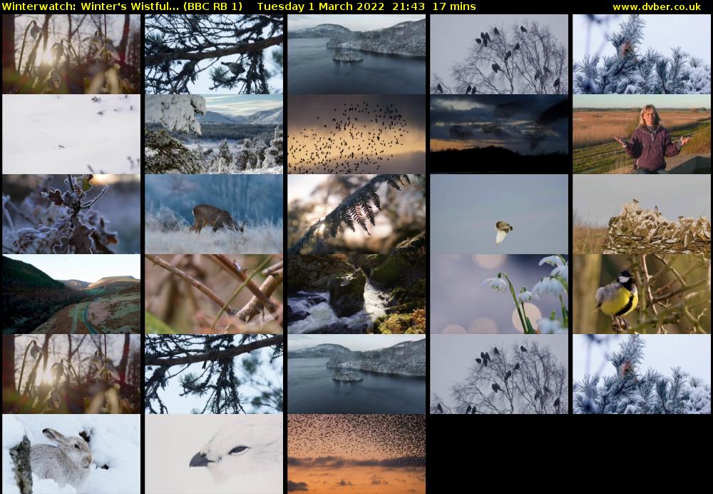 Winterwatch: Winter's Wistful... (BBC RB 1) Tuesday 1 March 2022 21:43 - 22:00