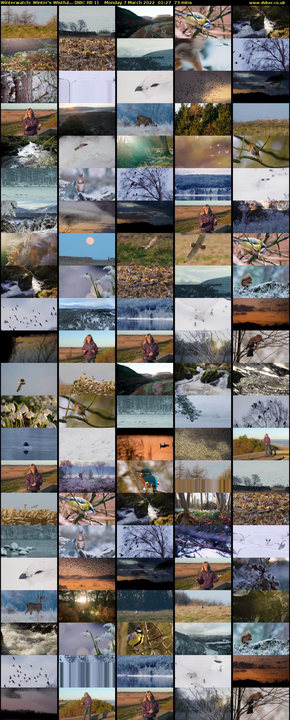Winterwatch: Winter's Wistful... (BBC RB 1) Monday 7 March 2022 01:27 - 02:40