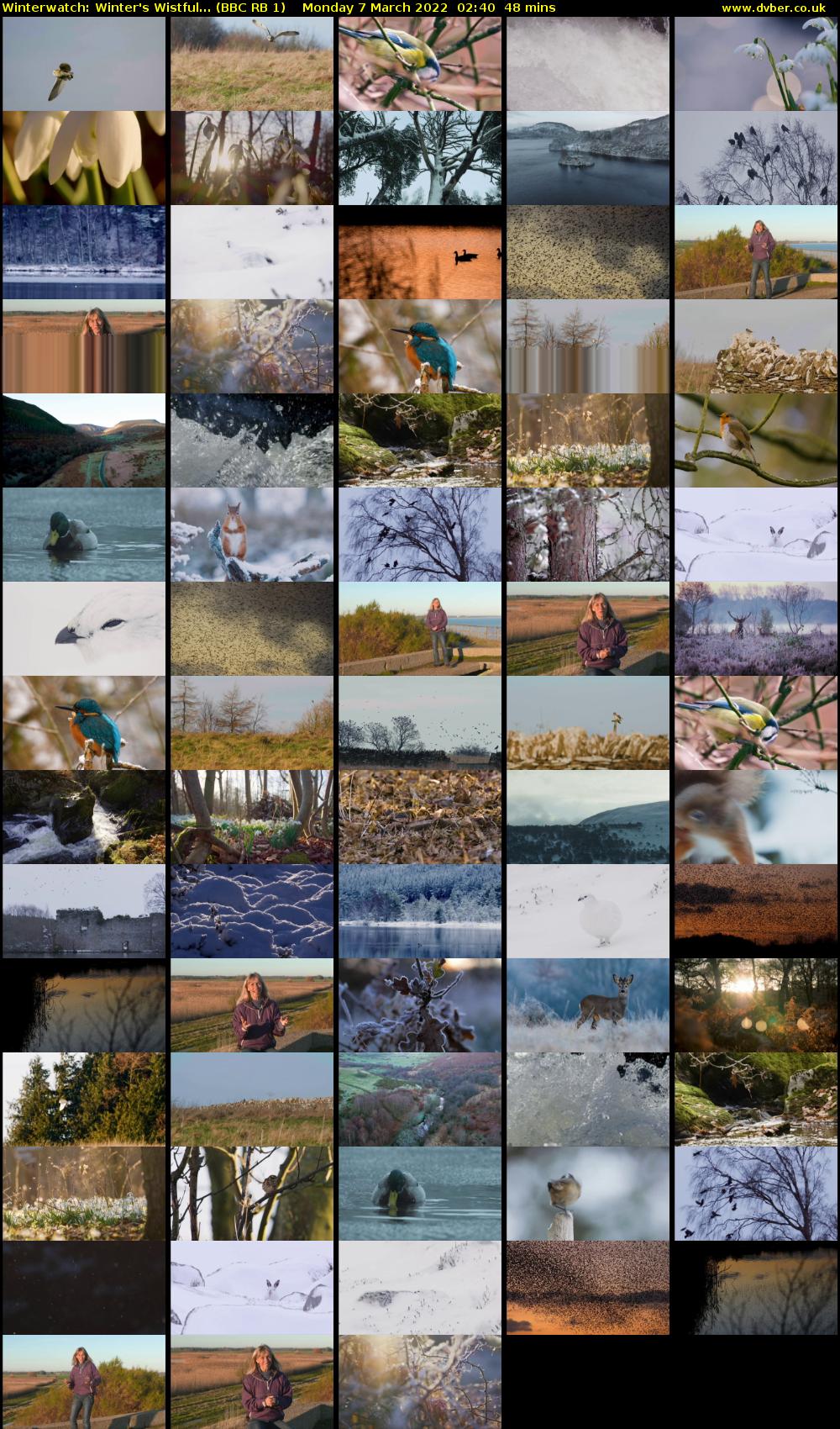 Winterwatch: Winter's Wistful... (BBC RB 1) Monday 7 March 2022 02:40 - 03:28