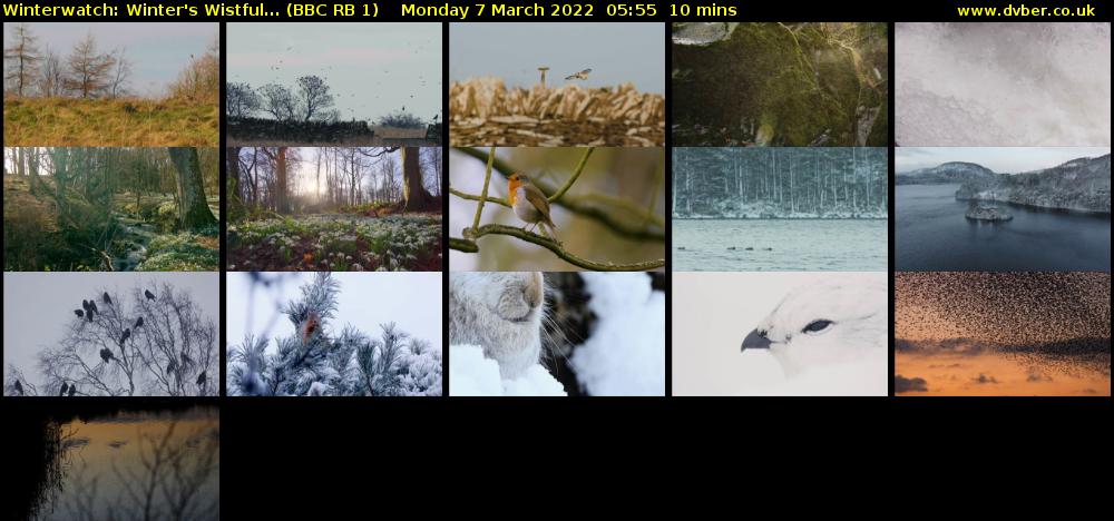 Winterwatch: Winter's Wistful... (BBC RB 1) Monday 7 March 2022 05:55 - 06:05