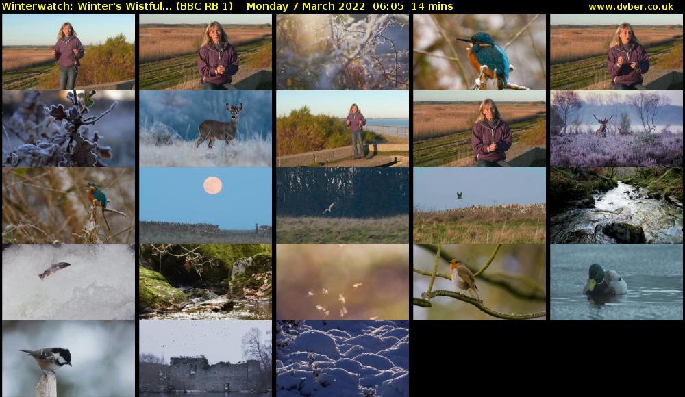 Winterwatch: Winter's Wistful... (BBC RB 1) Monday 7 March 2022 06:05 - 06:19