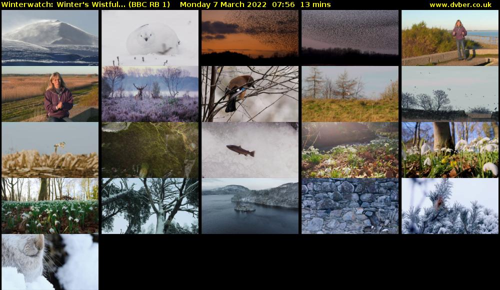 Winterwatch: Winter's Wistful... (BBC RB 1) Monday 7 March 2022 07:56 - 08:09