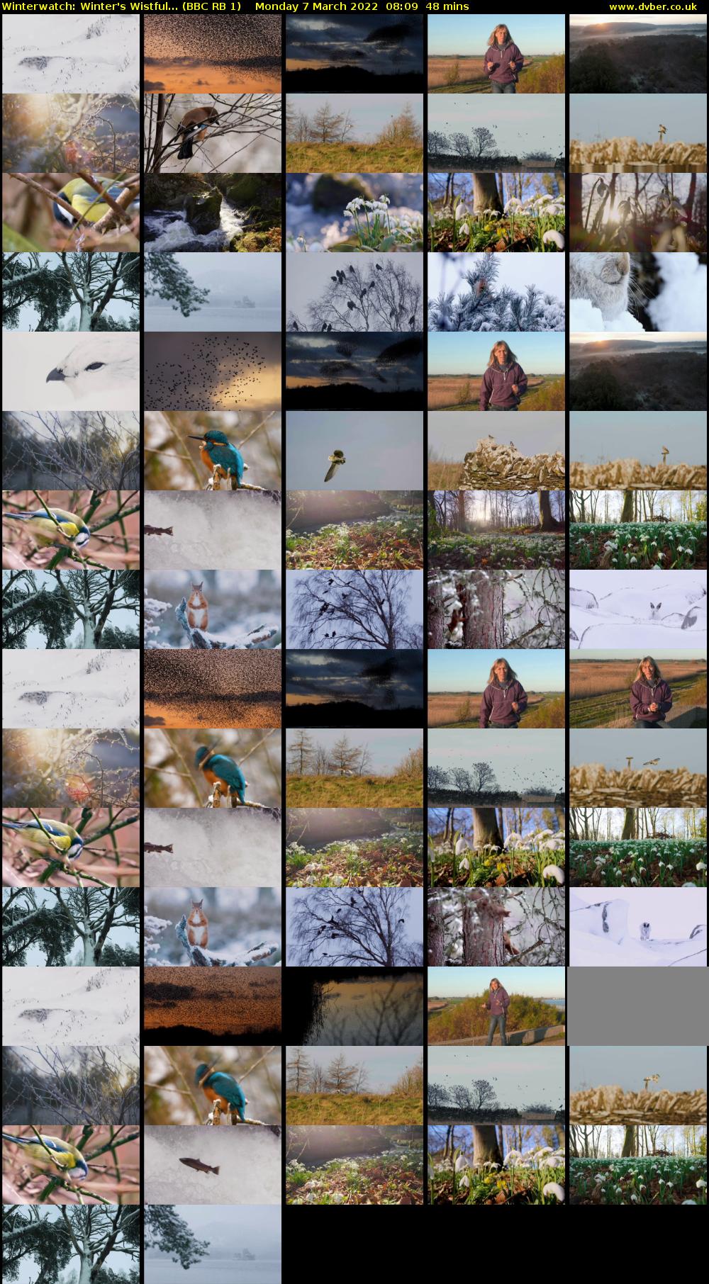 Winterwatch: Winter's Wistful... (BBC RB 1) Monday 7 March 2022 08:09 - 08:57