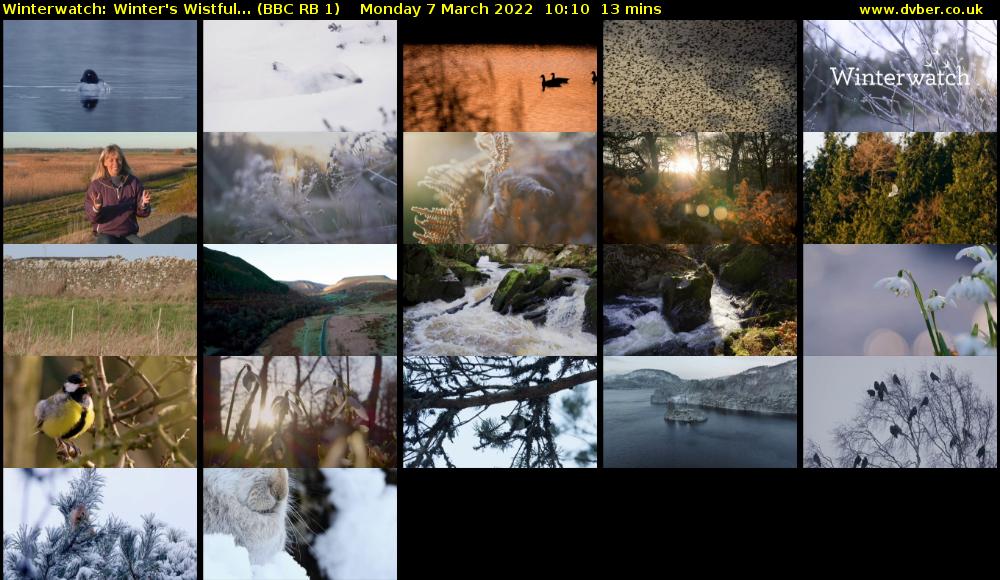 Winterwatch: Winter's Wistful... (BBC RB 1) Monday 7 March 2022 10:10 - 10:23