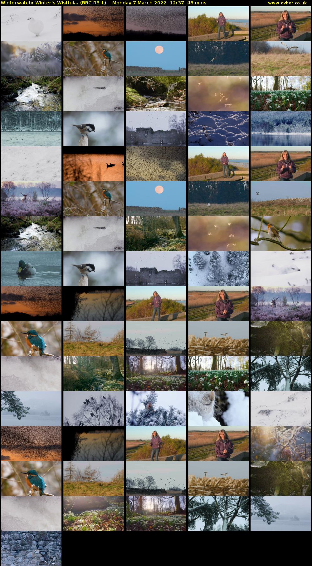 Winterwatch: Winter's Wistful... (BBC RB 1) Monday 7 March 2022 12:37 - 13:25