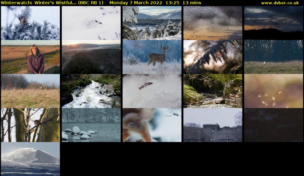 Winterwatch: Winter's Wistful... (BBC RB 1) Monday 7 March 2022 13:25 - 13:38