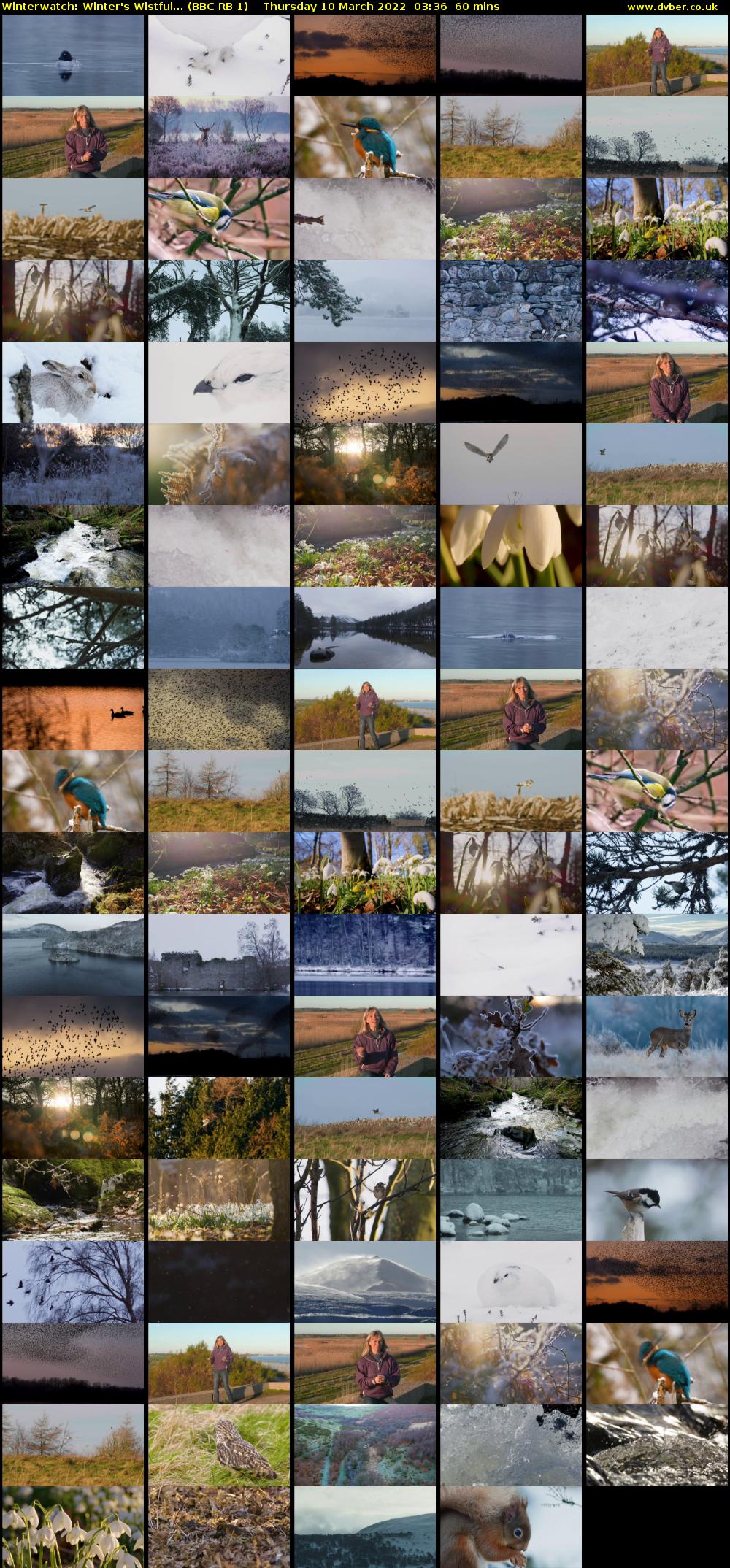 Winterwatch: Winter's Wistful... (BBC RB 1) Thursday 10 March 2022 03:36 - 04:36