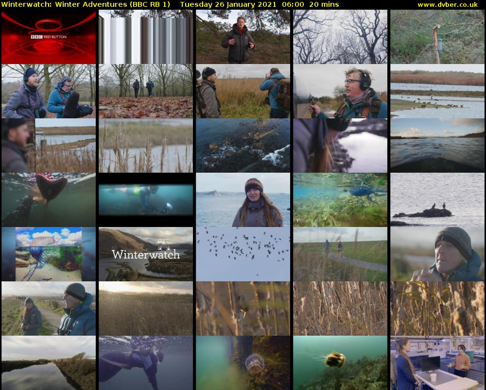 Winterwatch: Winter Adventures (BBC RB 1) Tuesday 26 January 2021 06:00 - 06:20