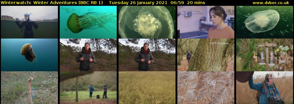 Winterwatch: Winter Adventures (BBC RB 1) Tuesday 26 January 2021 06:59 - 07:19