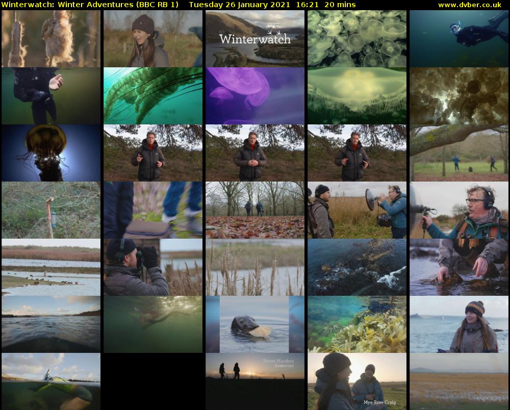 Winterwatch: Winter Adventures (BBC RB 1) Tuesday 26 January 2021 16:21 - 16:41