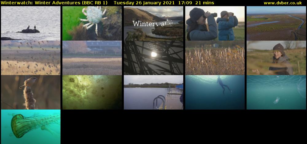 Winterwatch: Winter Adventures (BBC RB 1) Tuesday 26 January 2021 17:09 - 17:30