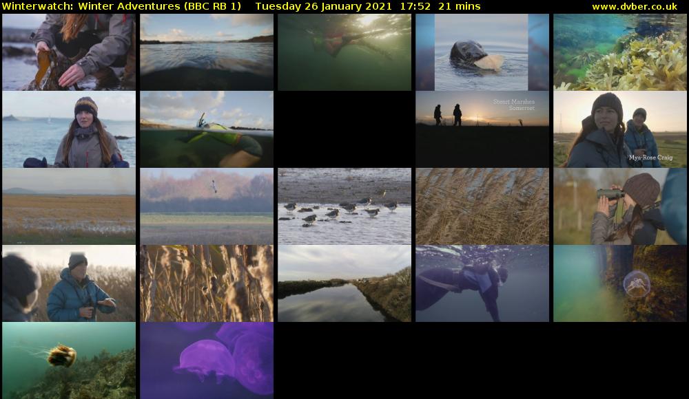 Winterwatch: Winter Adventures (BBC RB 1) Tuesday 26 January 2021 17:52 - 18:13