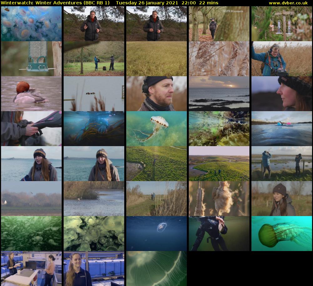 Winterwatch: Winter Adventures (BBC RB 1) Tuesday 26 January 2021 22:00 - 22:22