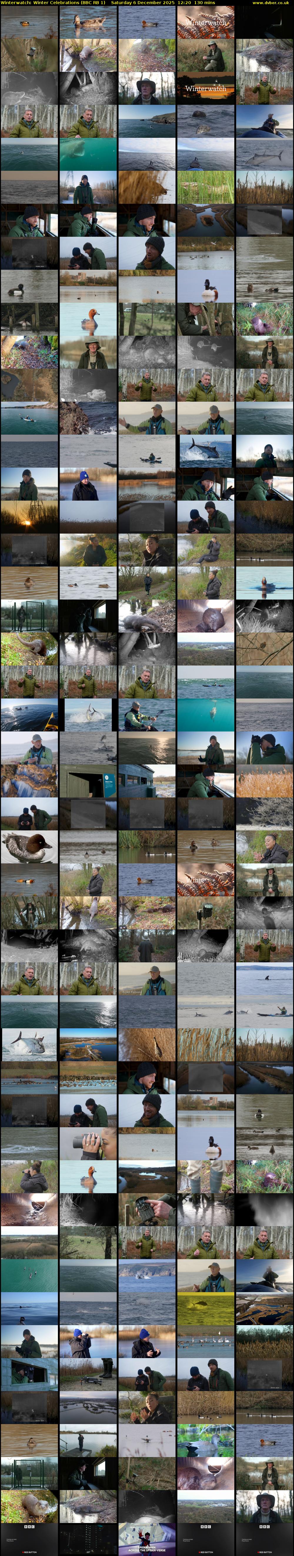 Winterwatch: Winter Celebrations (BBC RB 1) Saturday 6 December 2025 12:20 - 14:30