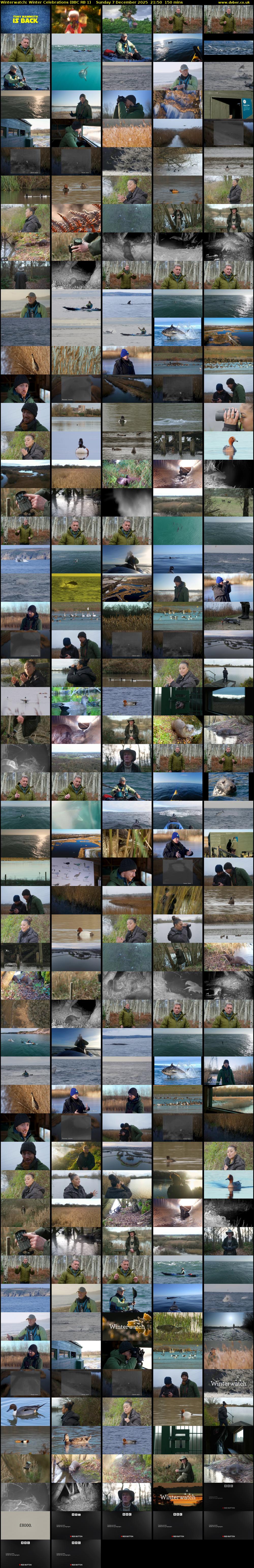 Winterwatch: Winter Celebrations (BBC RB 1) Sunday 7 December 2025 21:50 - 00:20