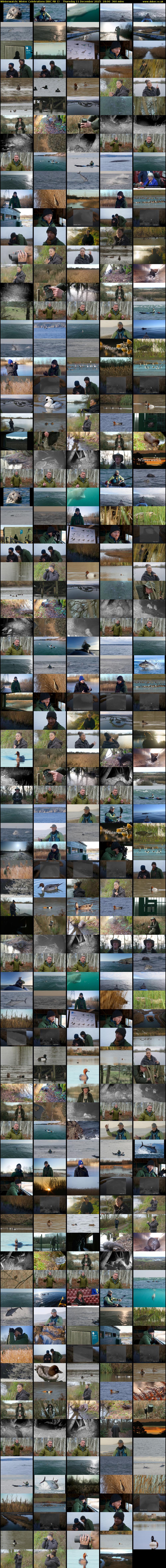 Winterwatch: Winter Celebrations (BBC RB 1) Thursday 11 December 2025 18:00 - 00:00