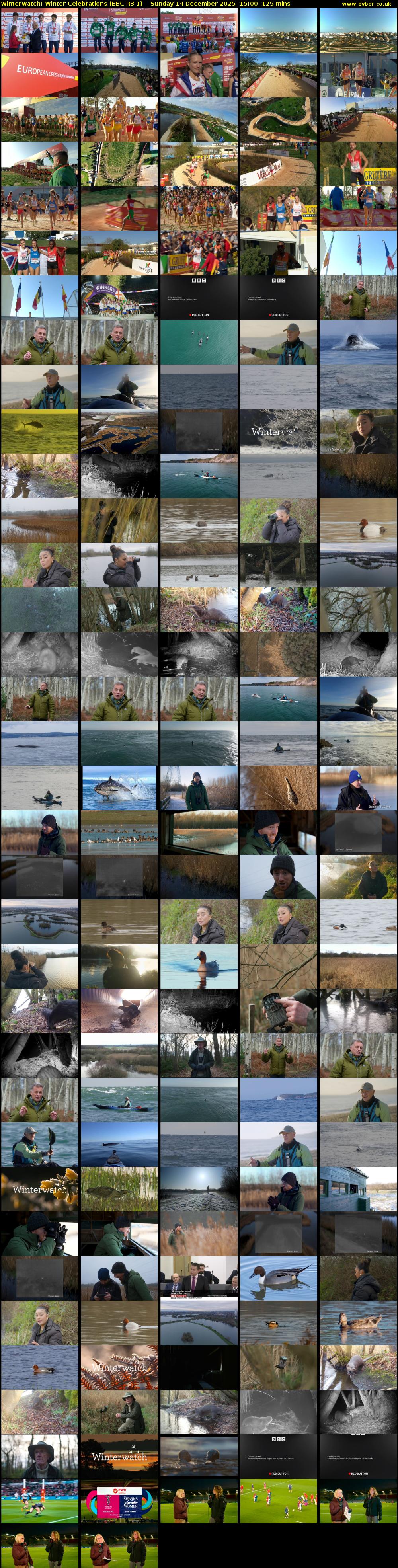 Winterwatch: Winter Celebrations (BBC RB 1) Sunday 14 December 2025 15:00 - 17:05