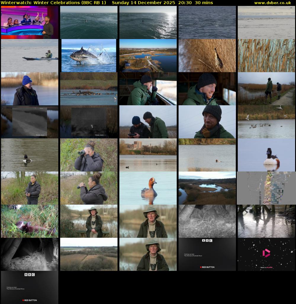 Winterwatch: Winter Celebrations (BBC RB 1) Sunday 14 December 2025 20:30 - 21:00