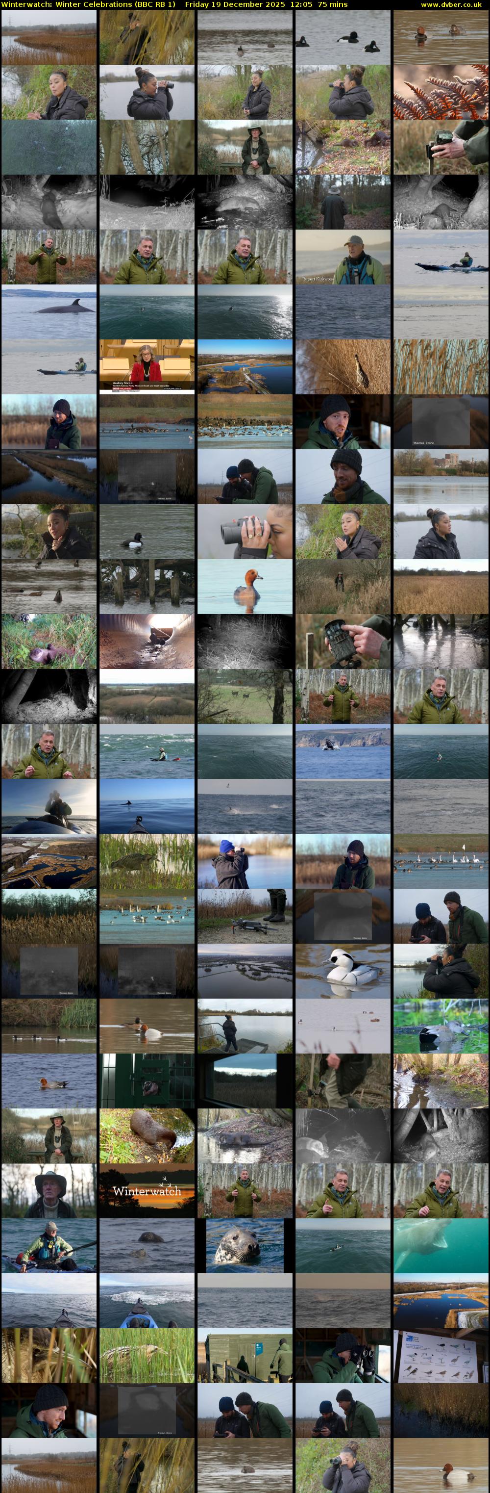 Winterwatch: Winter Celebrations (BBC RB 1) Friday 19 December 2025 12:05 - 13:20