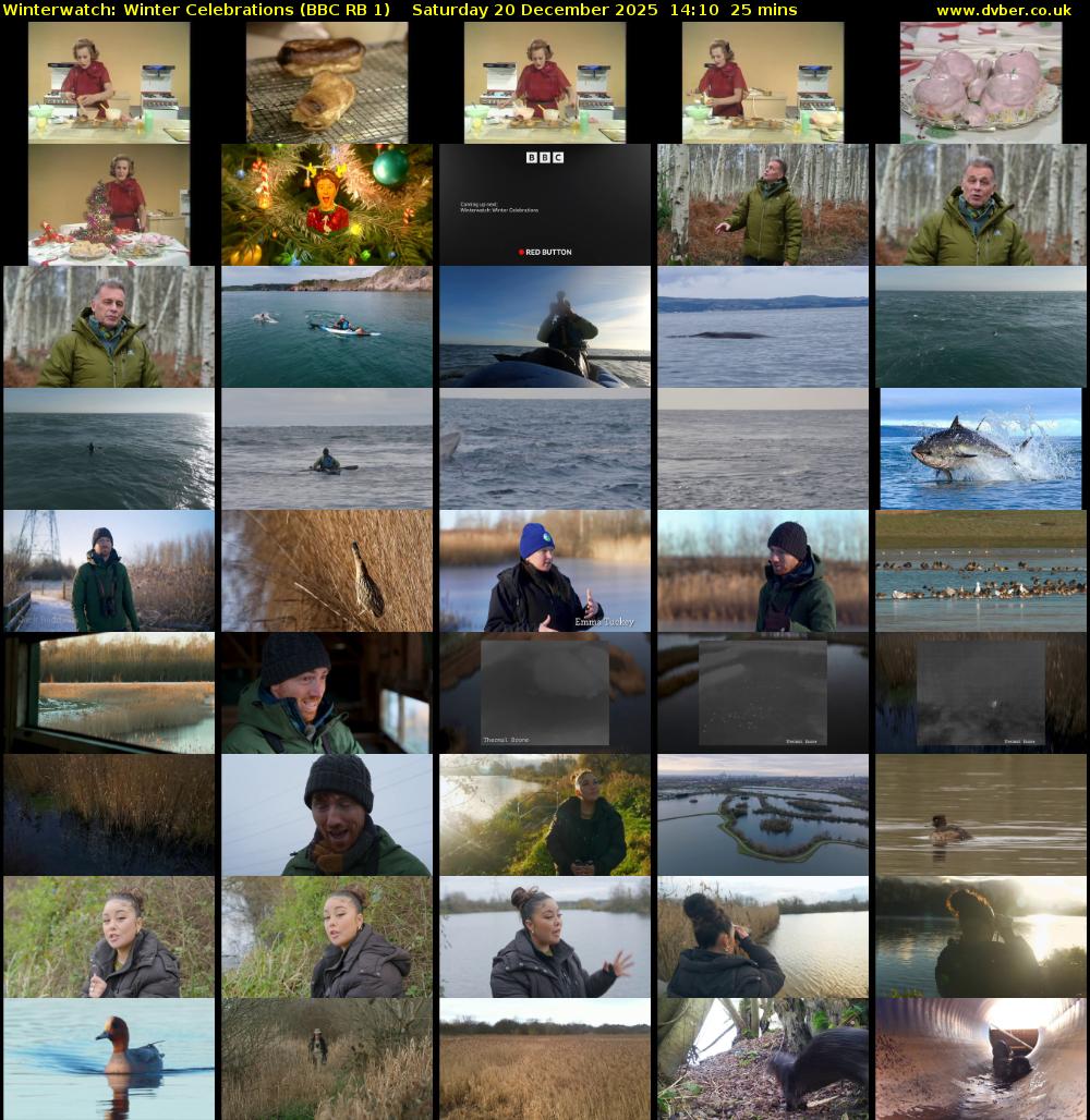 Winterwatch: Winter Celebrations (BBC RB 1) Saturday 20 December 2025 14:10 - 14:35