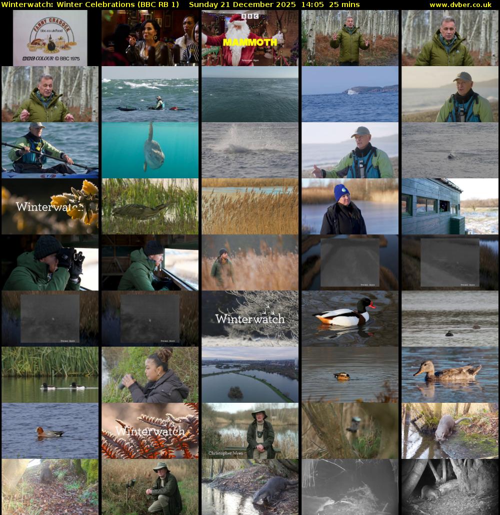 Winterwatch: Winter Celebrations (BBC RB 1) Sunday 21 December 2025 14:05 - 14:30