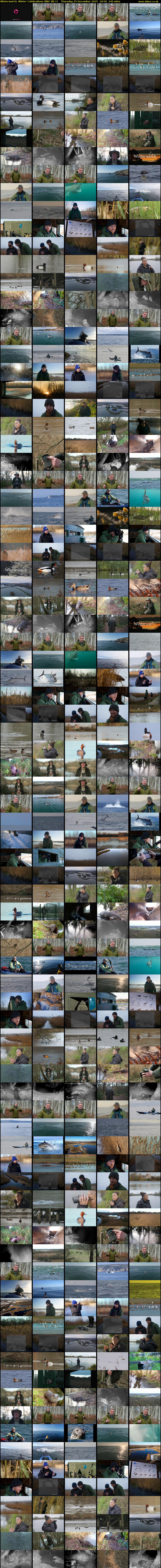 Winterwatch: Winter Celebrations (BBC RB 1) Thursday 25 December 2025 10:50 - 14:50