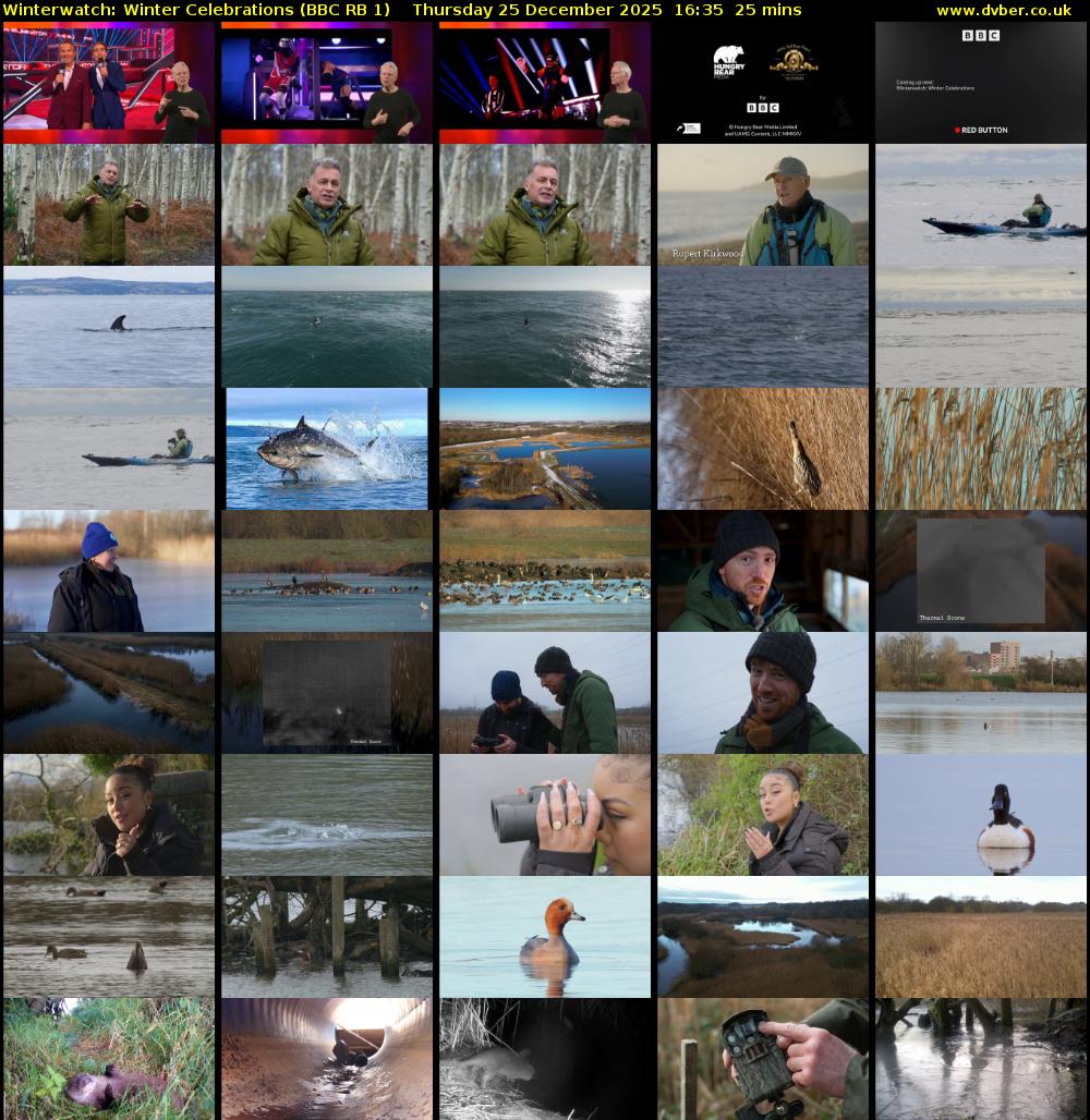 Winterwatch: Winter Celebrations (BBC RB 1) Thursday 25 December 2025 16:35 - 17:00