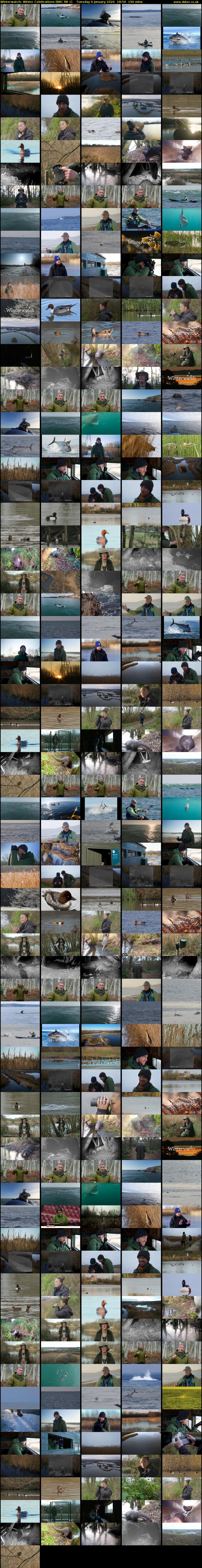 Winterwatch: Winter Celebrations (BBC RB 1) Tuesday 6 January 2026 18:50 - 22:00