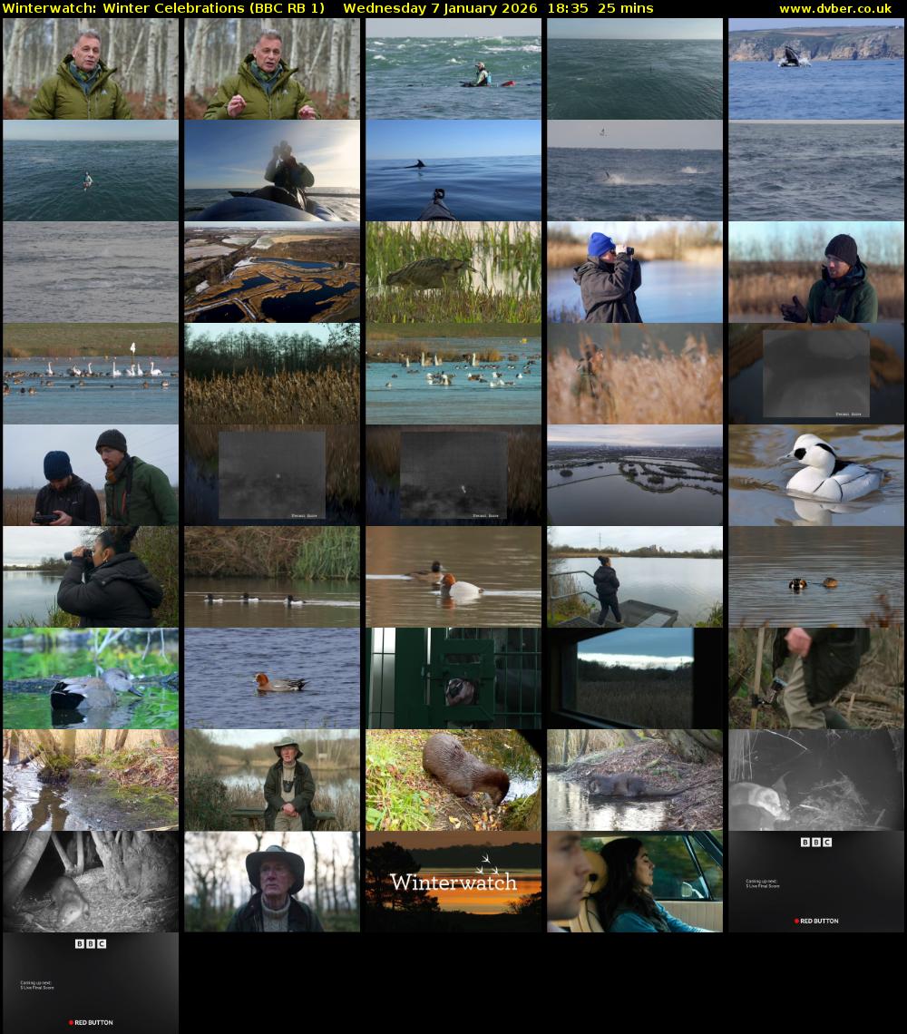 Winterwatch: Winter Celebrations (BBC RB 1) Wednesday 7 January 2026 18:35 - 19:00