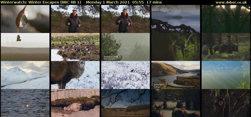 Winterwatch: Winter Escapes (BBC RB 1) Monday 1 March 2021 05:55 - 06:12