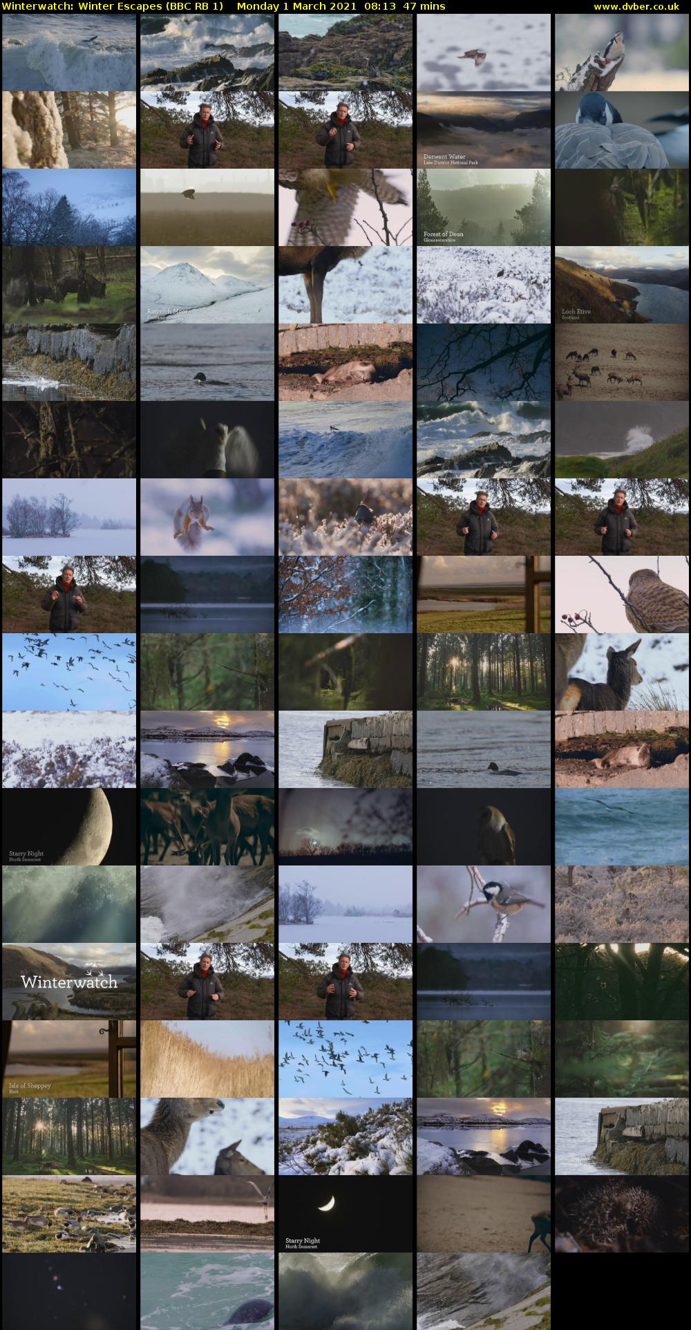 Winterwatch: Winter Escapes (BBC RB 1) Monday 1 March 2021 08:13 - 09:00