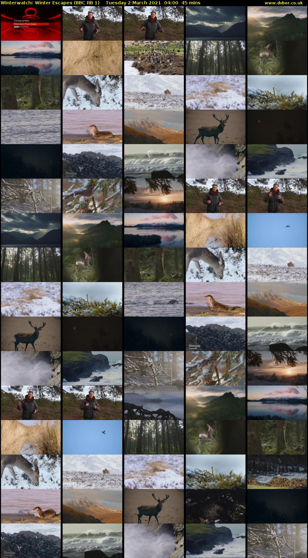 Winterwatch: Winter Escapes (BBC RB 1) Tuesday 2 March 2021 04:00 - 04:45