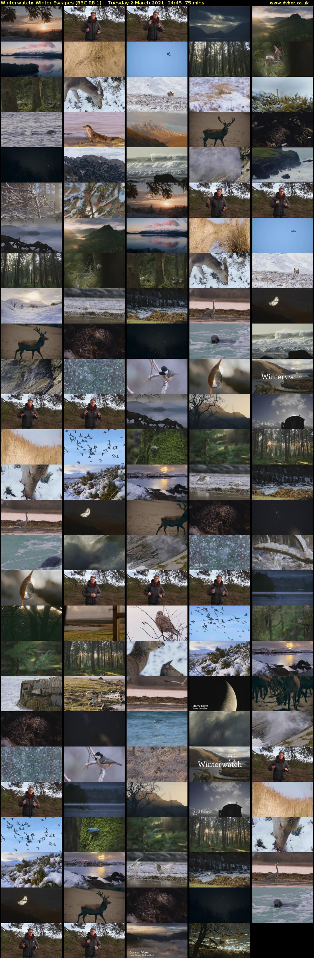 Winterwatch: Winter Escapes (BBC RB 1) Tuesday 2 March 2021 04:45 - 06:00