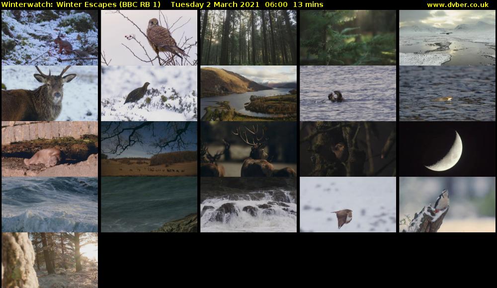 Winterwatch: Winter Escapes (BBC RB 1) Tuesday 2 March 2021 06:00 - 06:13