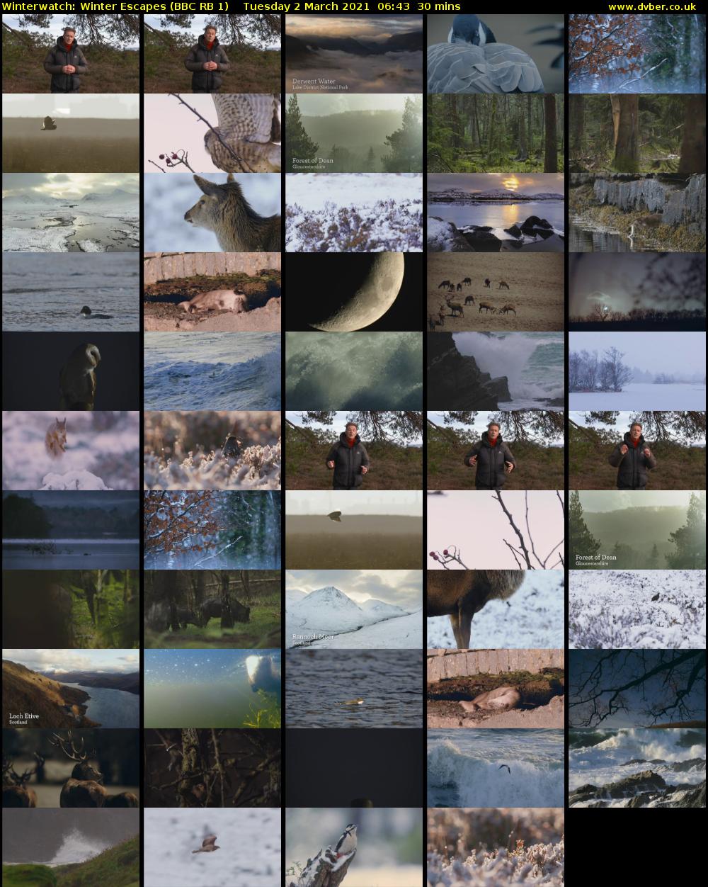 Winterwatch: Winter Escapes (BBC RB 1) Tuesday 2 March 2021 06:43 - 07:13