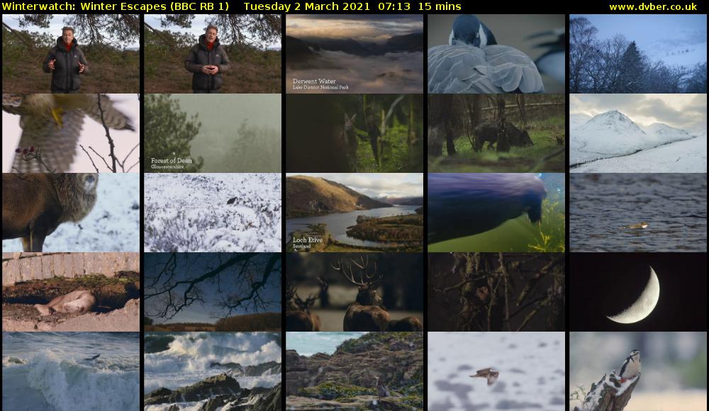 Winterwatch: Winter Escapes (BBC RB 1) Tuesday 2 March 2021 07:13 - 07:28