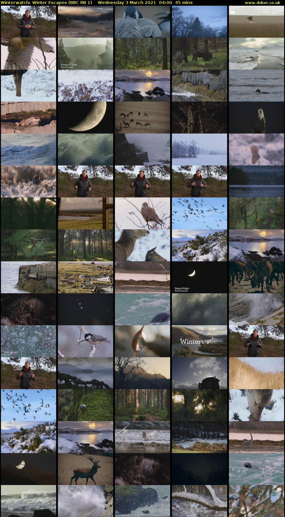 Winterwatch: Winter Escapes (BBC RB 1) Wednesday 3 March 2021 04:00 - 04:45