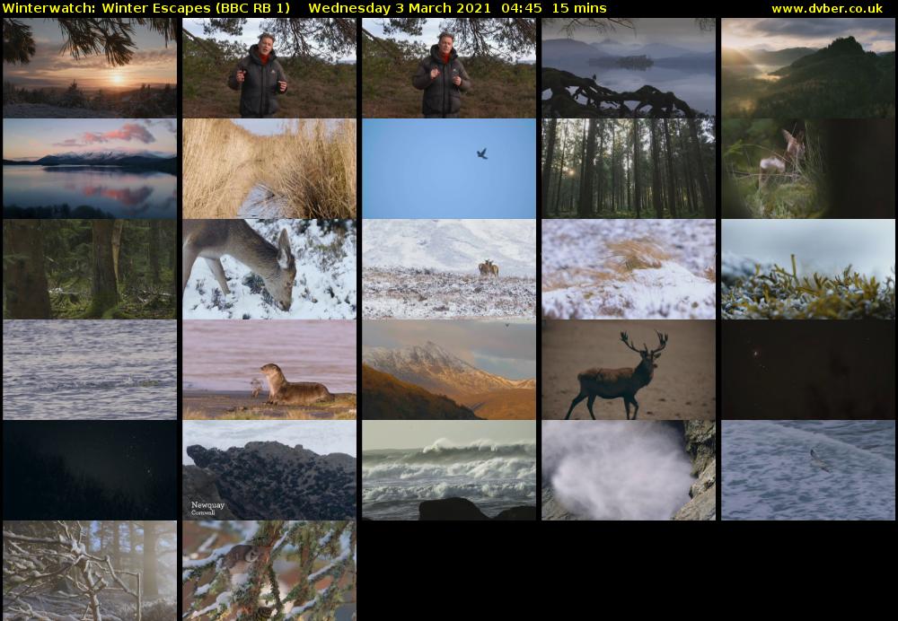 Winterwatch: Winter Escapes (BBC RB 1) Wednesday 3 March 2021 04:45 - 05:00