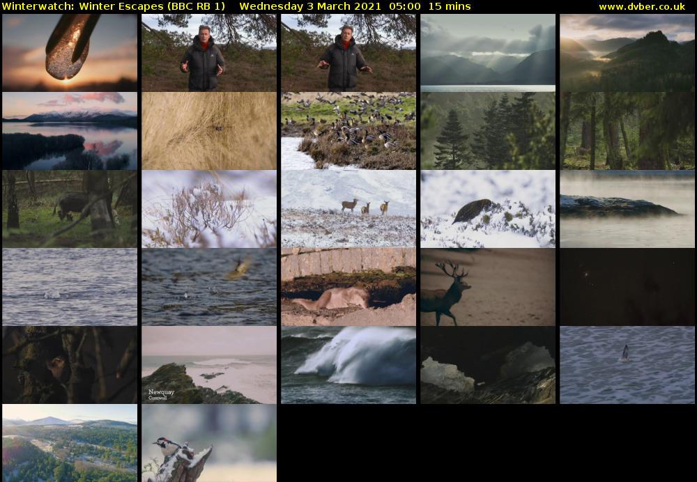 Winterwatch: Winter Escapes (BBC RB 1) Wednesday 3 March 2021 05:00 - 05:15