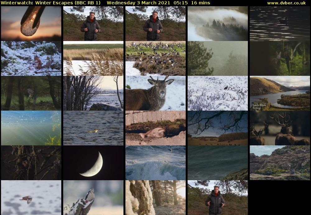 Winterwatch: Winter Escapes (BBC RB 1) Wednesday 3 March 2021 05:15 - 05:31