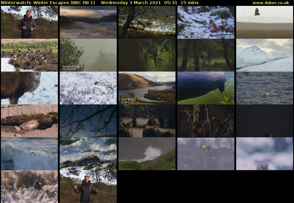 Winterwatch: Winter Escapes (BBC RB 1) Wednesday 3 March 2021 05:31 - 05:46