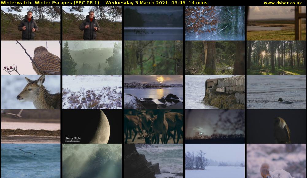 Winterwatch: Winter Escapes (BBC RB 1) Wednesday 3 March 2021 05:46 - 06:00