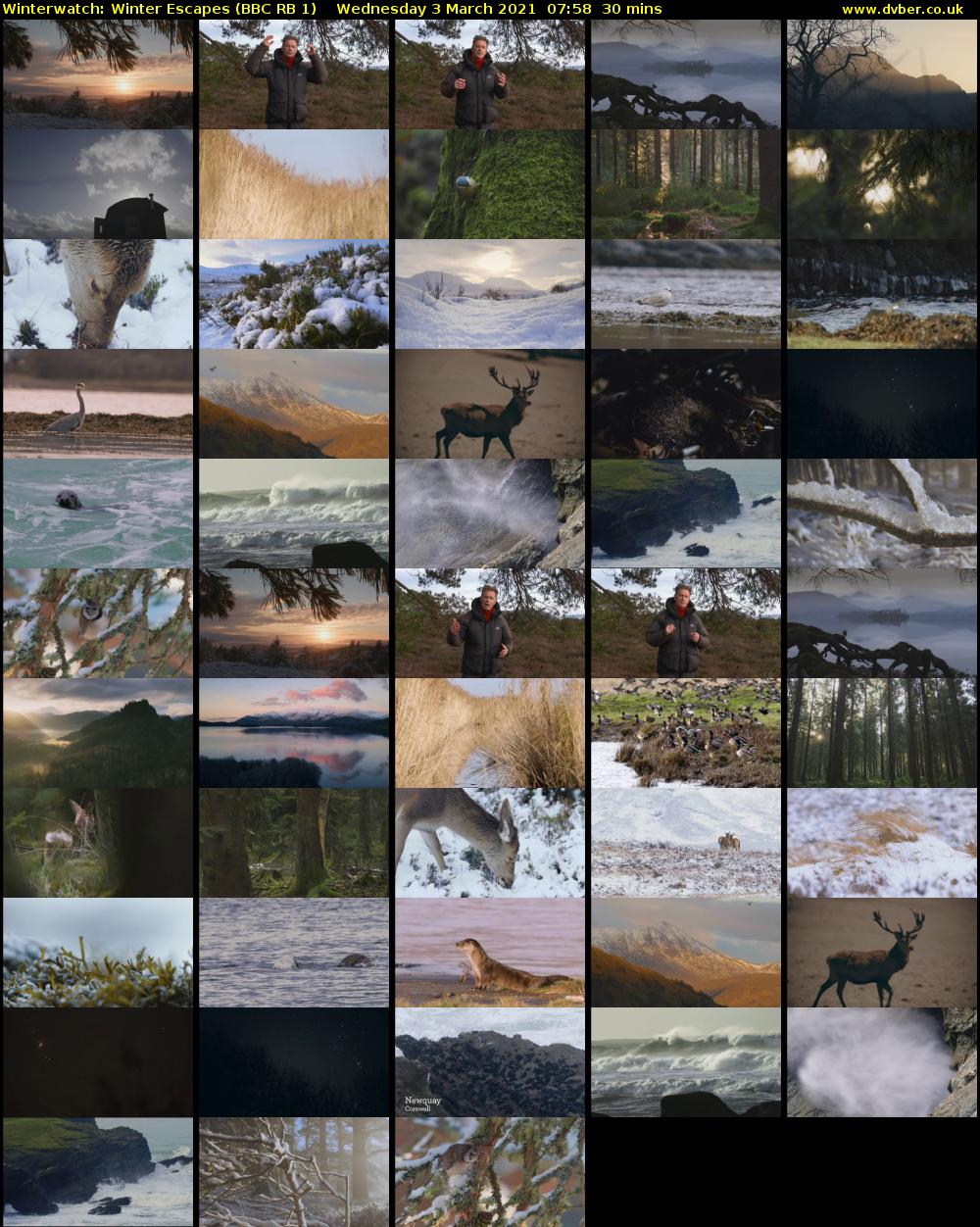 Winterwatch: Winter Escapes (BBC RB 1) Wednesday 3 March 2021 07:58 - 08:28