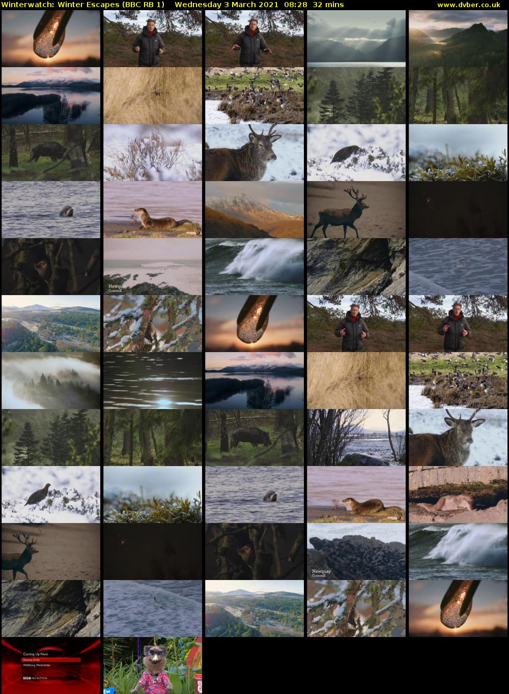 Winterwatch: Winter Escapes (BBC RB 1) Wednesday 3 March 2021 08:28 - 09:00