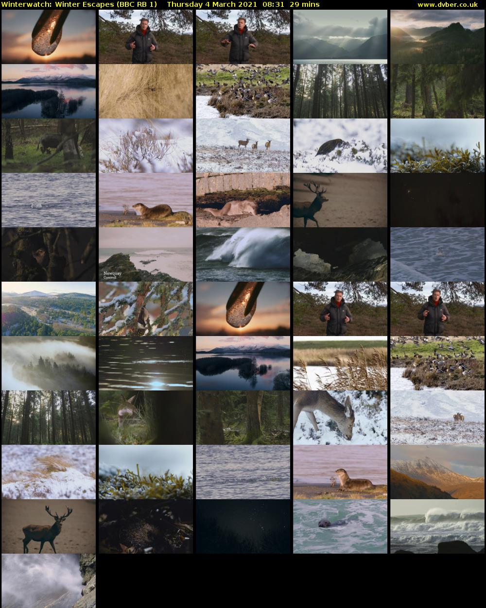 Winterwatch: Winter Escapes (BBC RB 1) Thursday 4 March 2021 08:31 - 09:00
