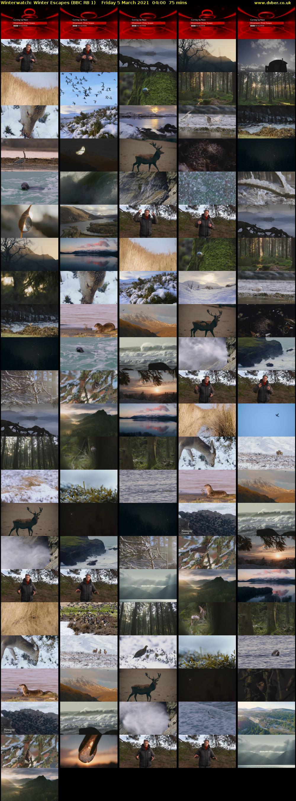 Winterwatch: Winter Escapes (BBC RB 1) Friday 5 March 2021 04:00 - 05:15