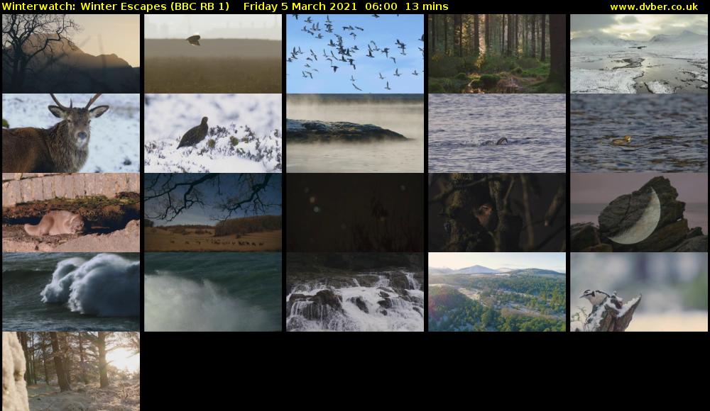 Winterwatch: Winter Escapes (BBC RB 1) Friday 5 March 2021 06:00 - 06:13