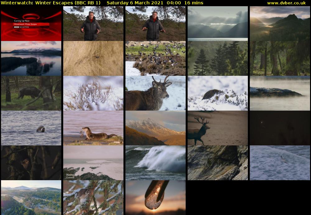 Winterwatch: Winter Escapes (BBC RB 1) Saturday 6 March 2021 04:00 - 04:16